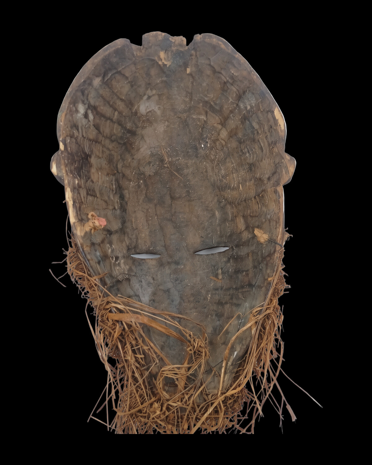 Cowrie Elder Mask, Grassfields peoples, Africa ceremonial mask from Grassfields highlands — Back view